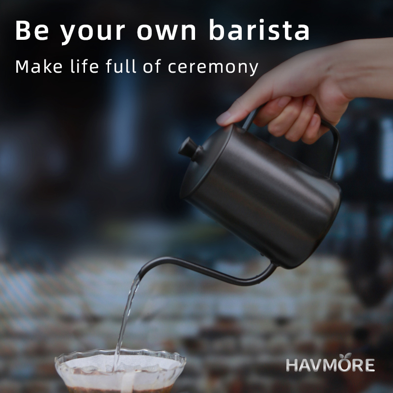 HAVMORE Tetera de acero inoxid - Coffee Tea Pots reseña y precio